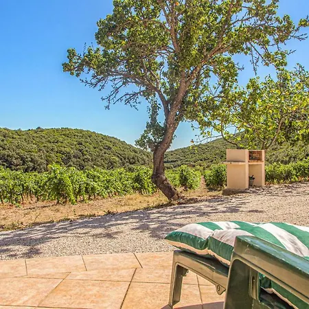 Cozy In Holiday home Cabrerolles