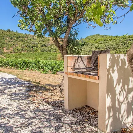 Holiday home Cozy In Cabrerolles
